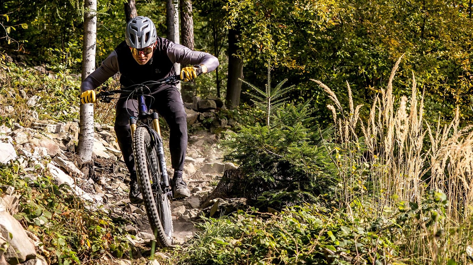 Dartmoor outlet mtb trails